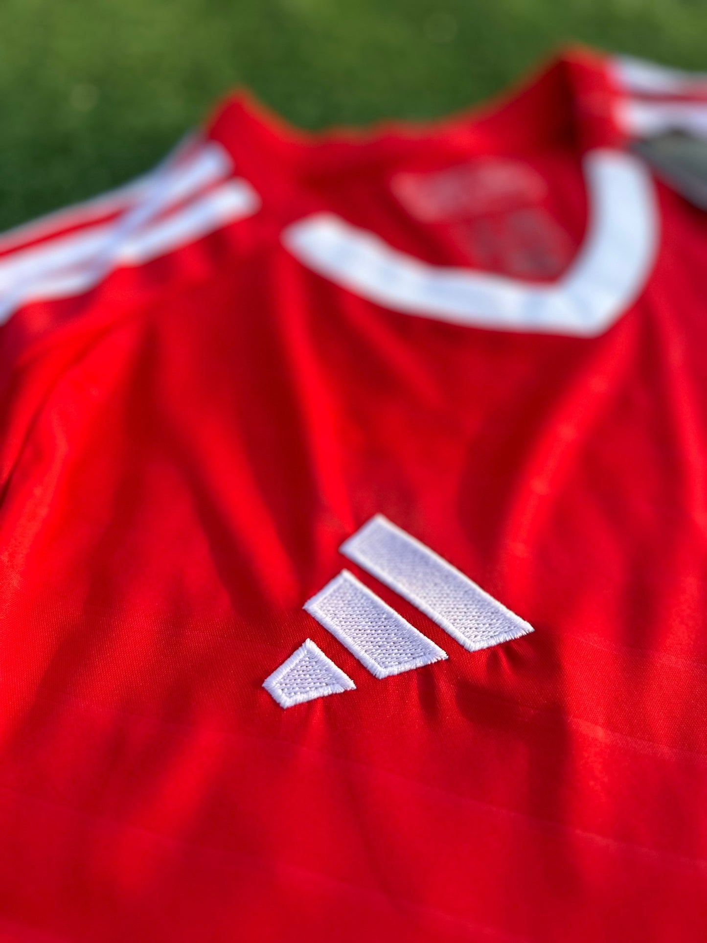 Chemise Benfica I 2024/25