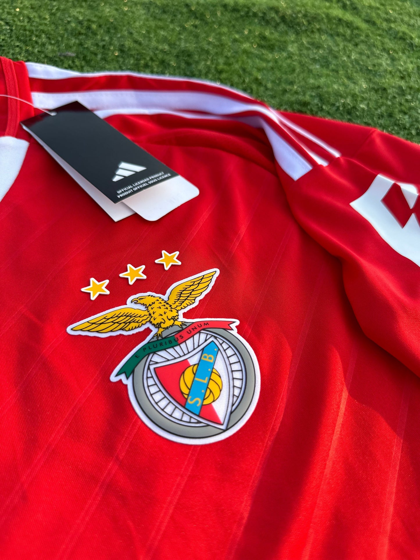 Chemise Benfica I 2024/25