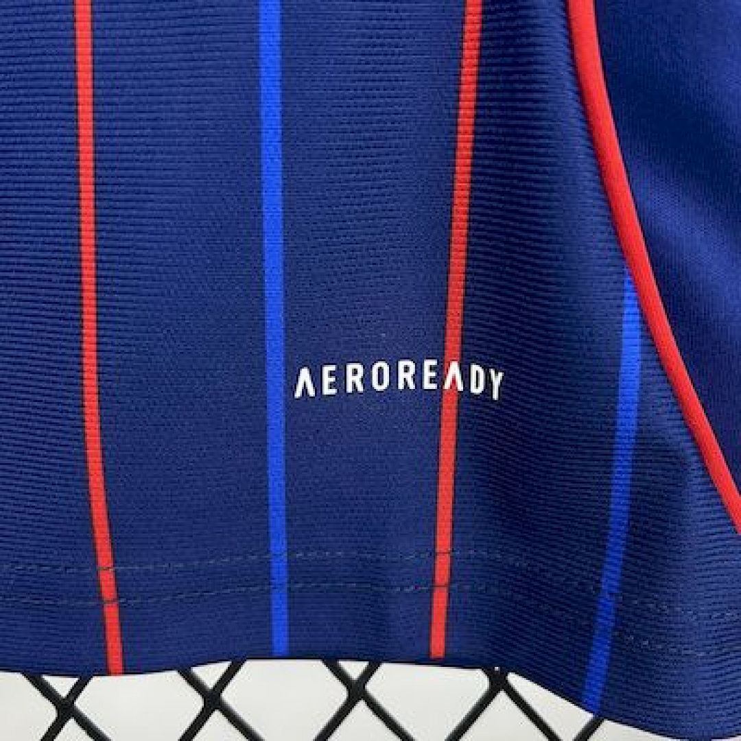 Olympique Lyonnais 2025∕26 Away Jersey(44A0)
